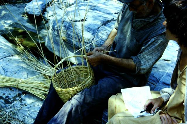 12473653_1746146172283052_4626660060929406860_o