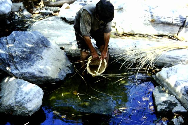 12493607_1746150162282653_3938556930181027505_o