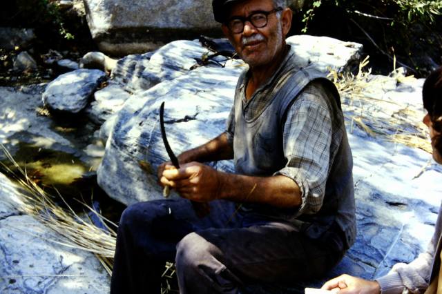 12593729_1746145745616428_7283325243571601538_o