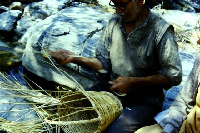 12615257_1746149545616048_2179375727591715894_o