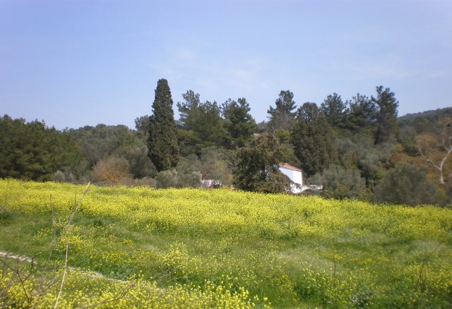 Chios island, Greece, spring 2019